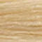 Chi Ionic Permanent Shine Hair Color 50-9N Light Natural Blonde