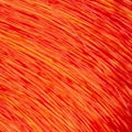 PULP RIOT Faction8 Permanent Haircolor -44 COPPER BOOSTER