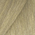Redken Chromatics Permanent Hair Color 8Aa 8.11 ASH / ash