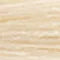 Chi Ionic Permanent Shine Hair Color 10N Extra Light Blonde