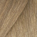 Redken Color Gels Lacquers Haircolor NATURAL 10N CRÈME LATTÉ 2 oz