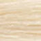CHI Ionic Permanent Shine Hair Color 50-10N Extra Light Natural Blonde